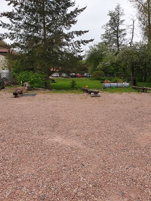 Wohnmobilstellplatz auf Kies und teilweise Gras